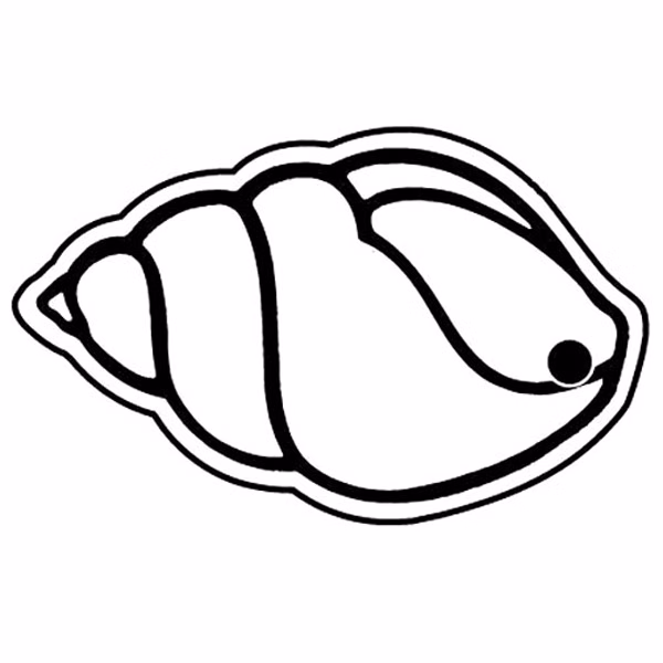 Hermit Crab Shell Key Tag - Spot Color