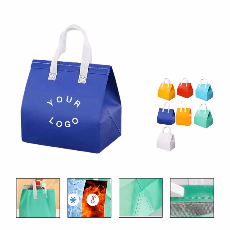 Insulated Cooler Tote Bag for Travel and Picnics