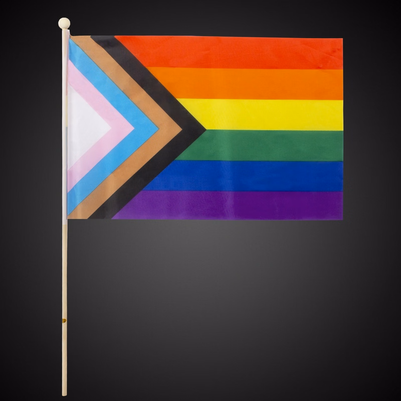 Progress Pride Rainbow Flag 12"x18"