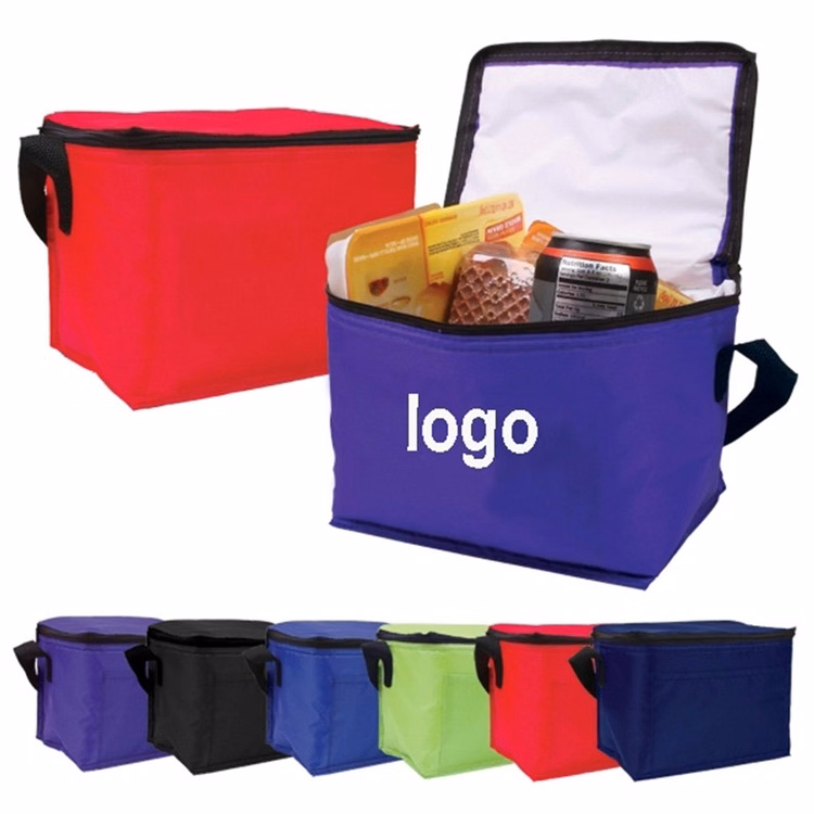 Large Zippered Insulated Picnic Cooler Bag