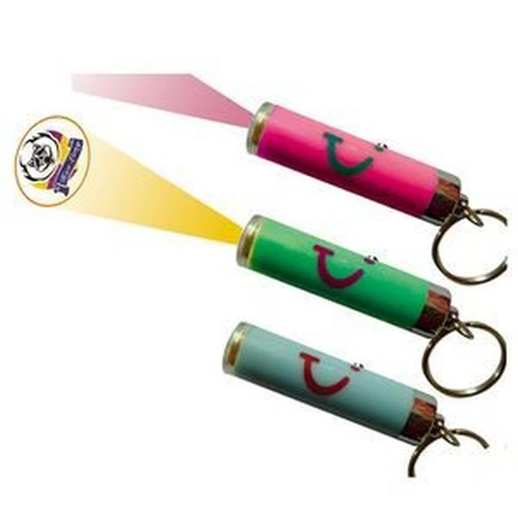 Projection Logo Key Chain 1