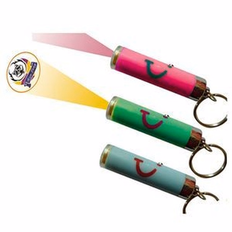 Projection Logo Key Chain