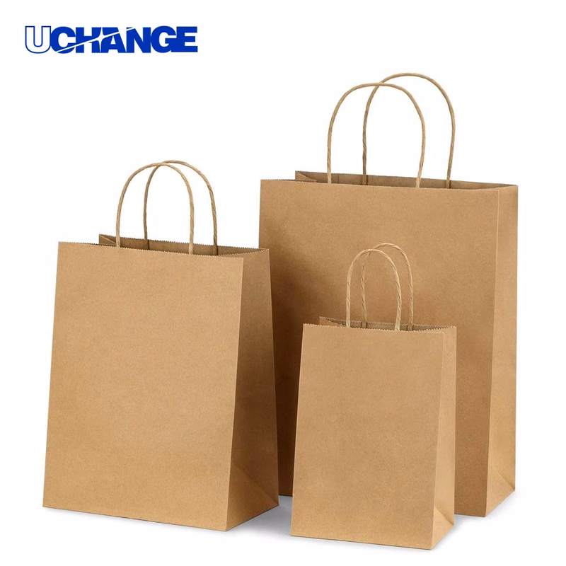 Brown Kraft Paper Bag Carrier With Handles