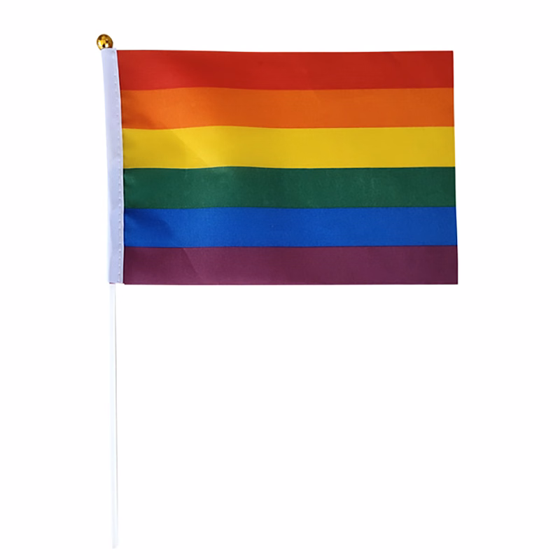 Rainbow Small Hand Flag
