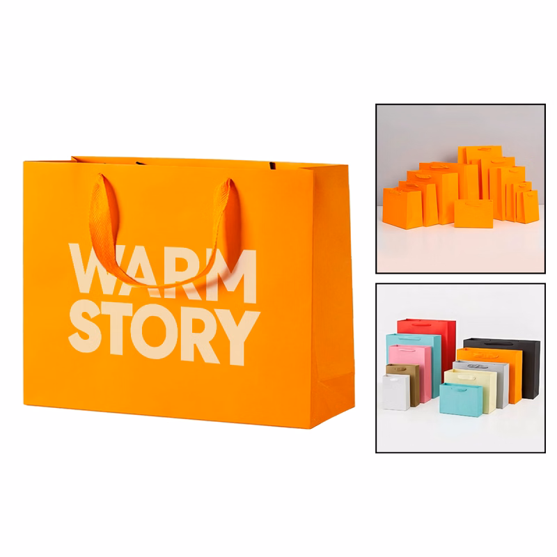 Premium Paperboard Gift Carry Bag