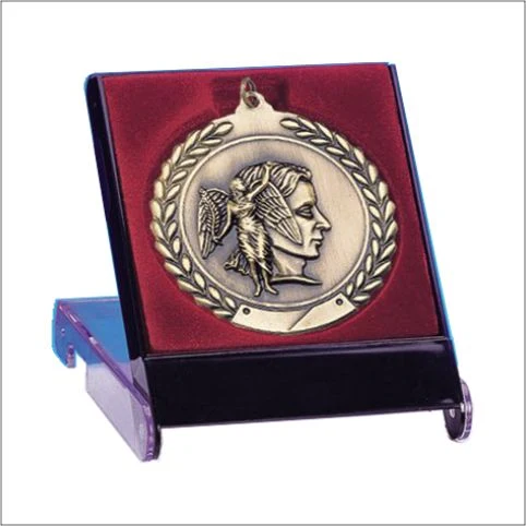 Lined Medal Presentation / Display Case 1