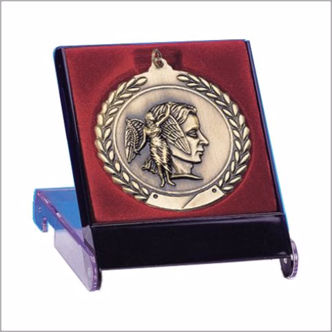Lined Medal Presentation / Display Case