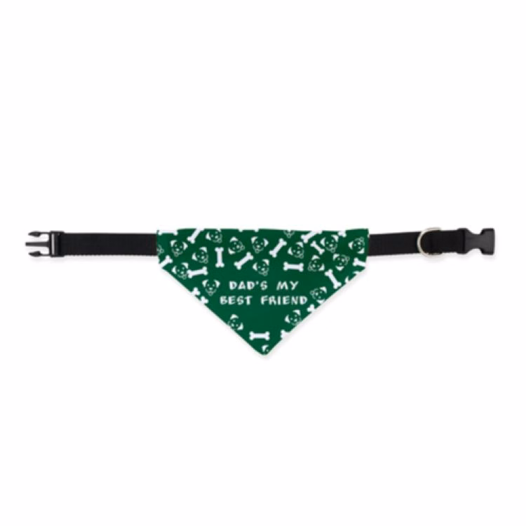 Medium Bandoggies® Slide-On Collar Pet Bandana
