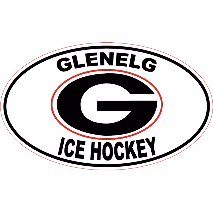 Custom 3" x 4" Oval Car Magnet