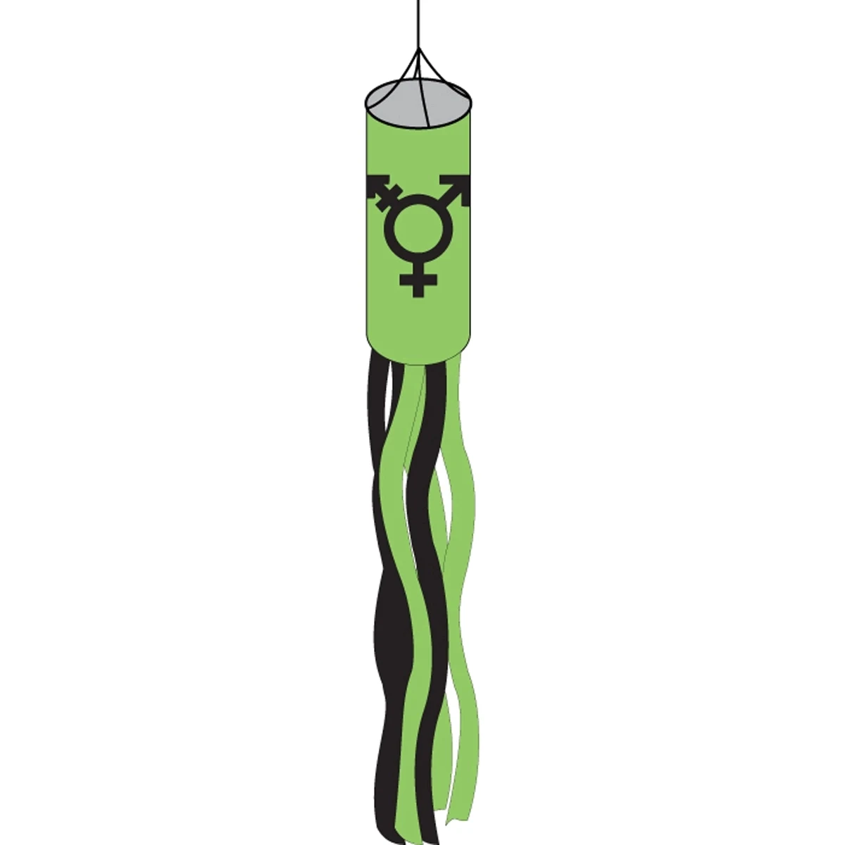 Israel Trans Windsock 1