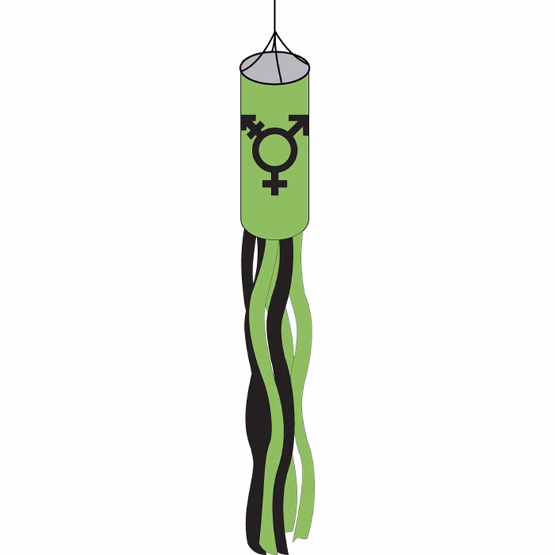 Israel Trans Windsock