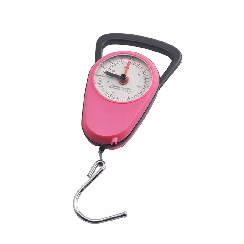 Portable Hand Held Fishing Scale