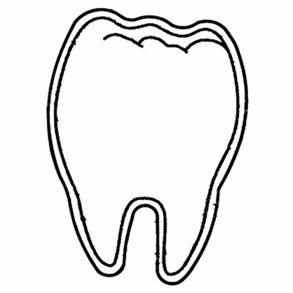 Tooth Magnet - Full Color