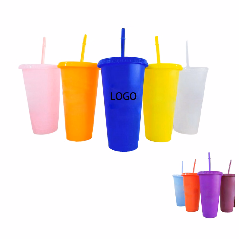 24oz Drinking Cups with Lid and Straw