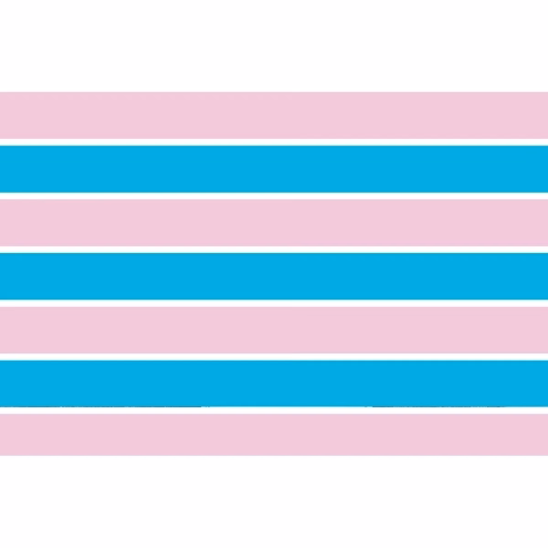 Transsexual Deluxe Flag