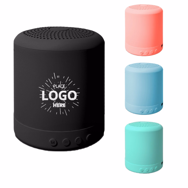 Outdoor Mini Speaker