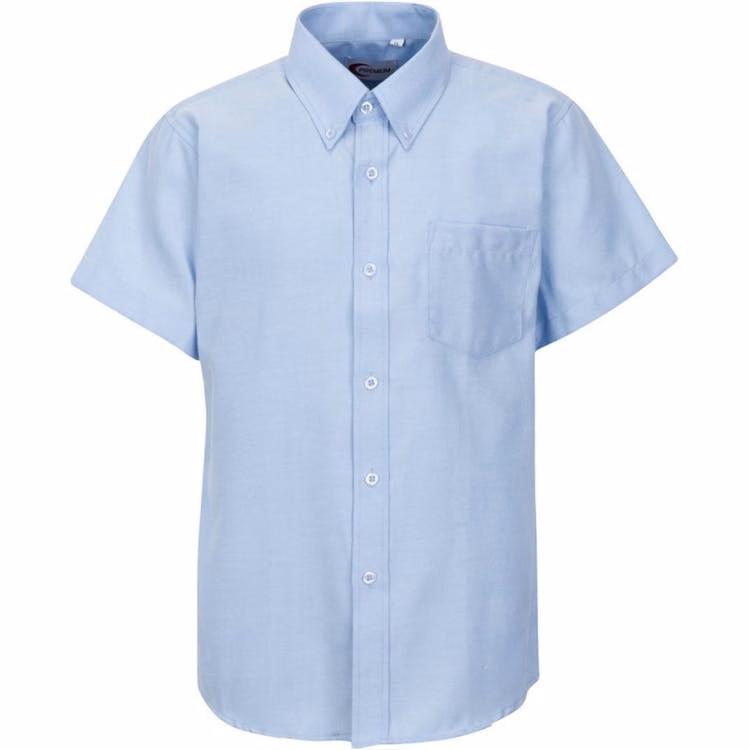Men's Oxford Short Sleeve Shirts - Blue 2X