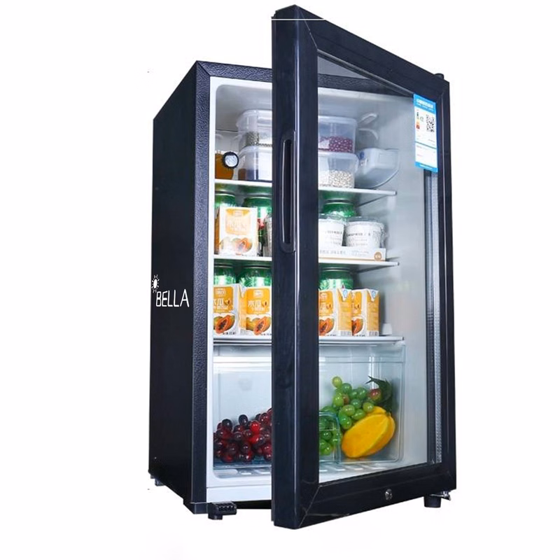 Mini Fridge with Glass Door