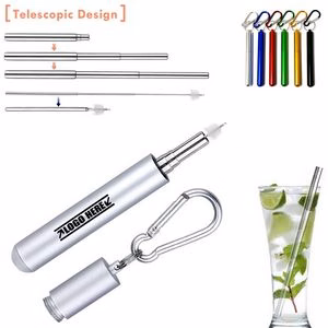 Innovative Telescope Metal Straw With Carabiner
