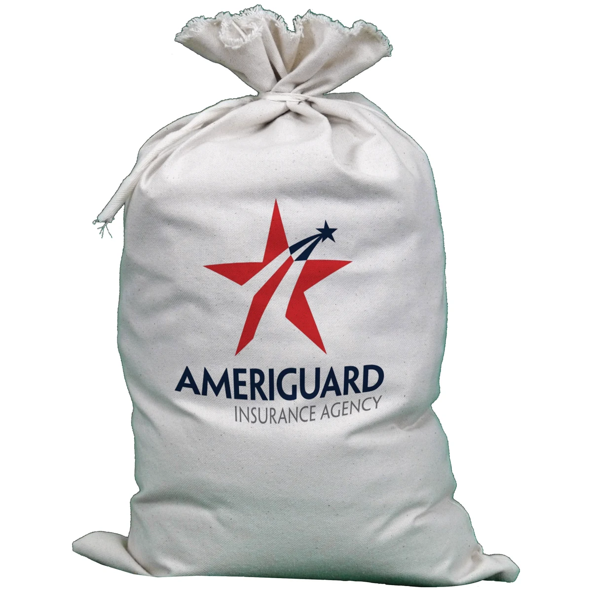 Bank Bag 1