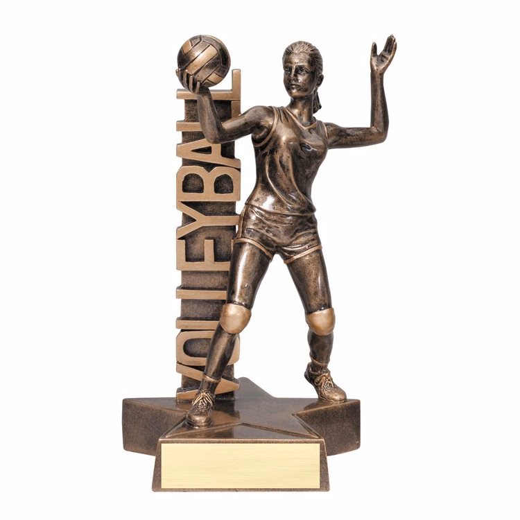 6 1/2" Tall Volleyball Female Billboard Resin Award