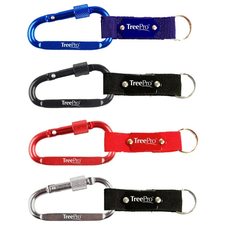 Carabiner with Secured Screw and Metal Plate 1