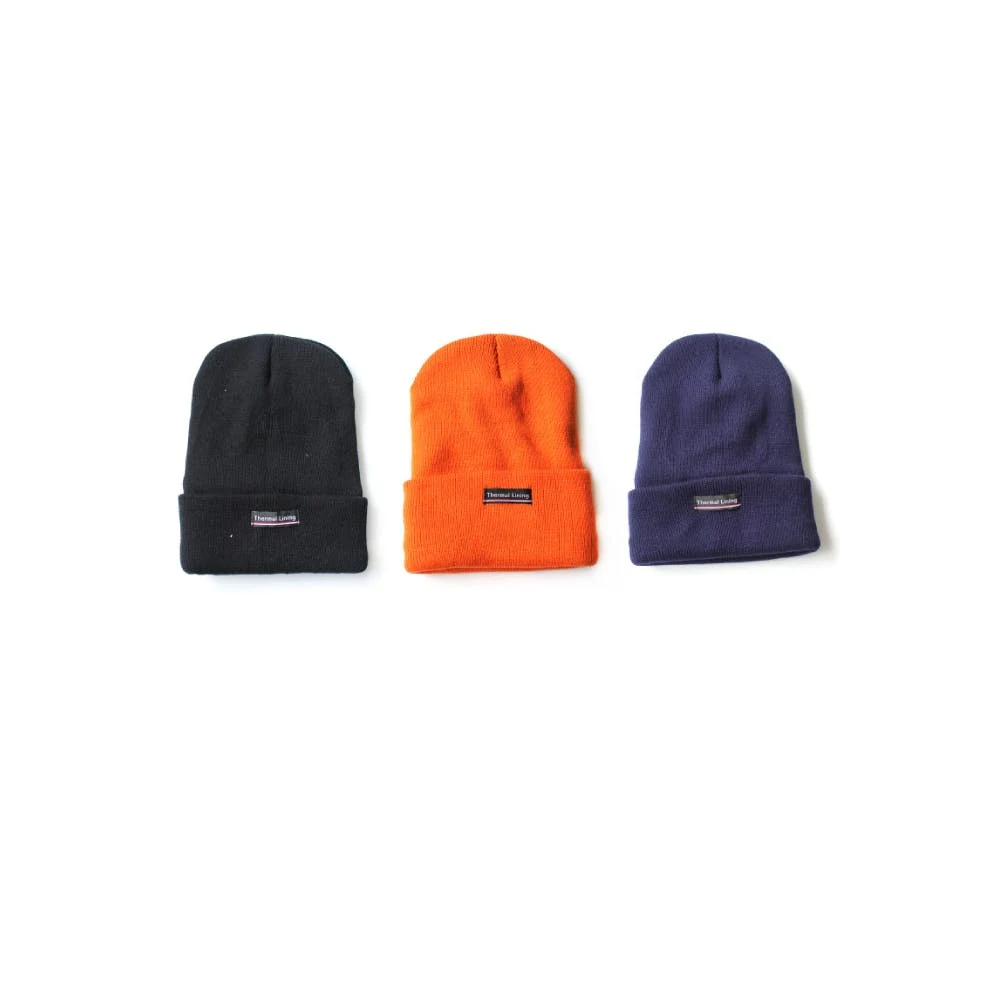 Adult Insulated Knit Hats Assorted 1