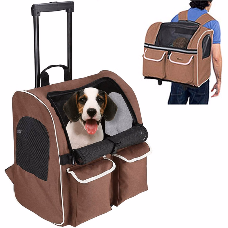 Pet Backpacks