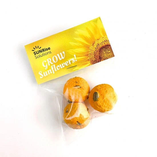 Sunflower Seed Bombs Cellopack 3 1
