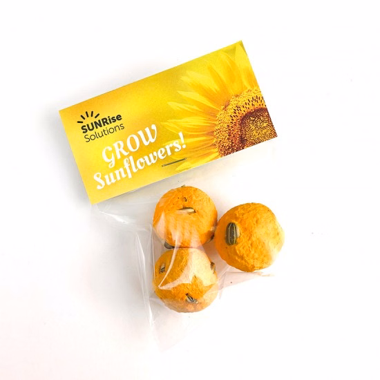 Sunflower Seed Bombs Cellopack 3