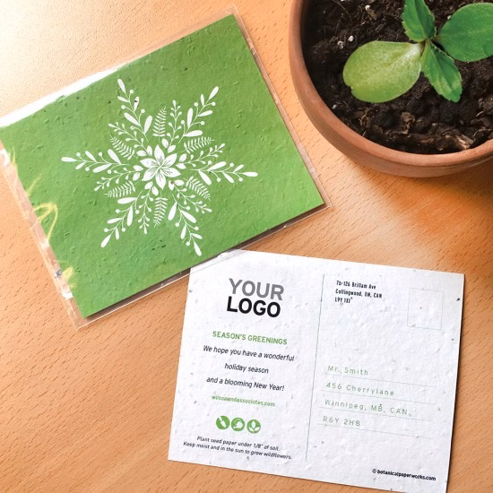 Blooming Snowflake Plantable Holiday Postcards