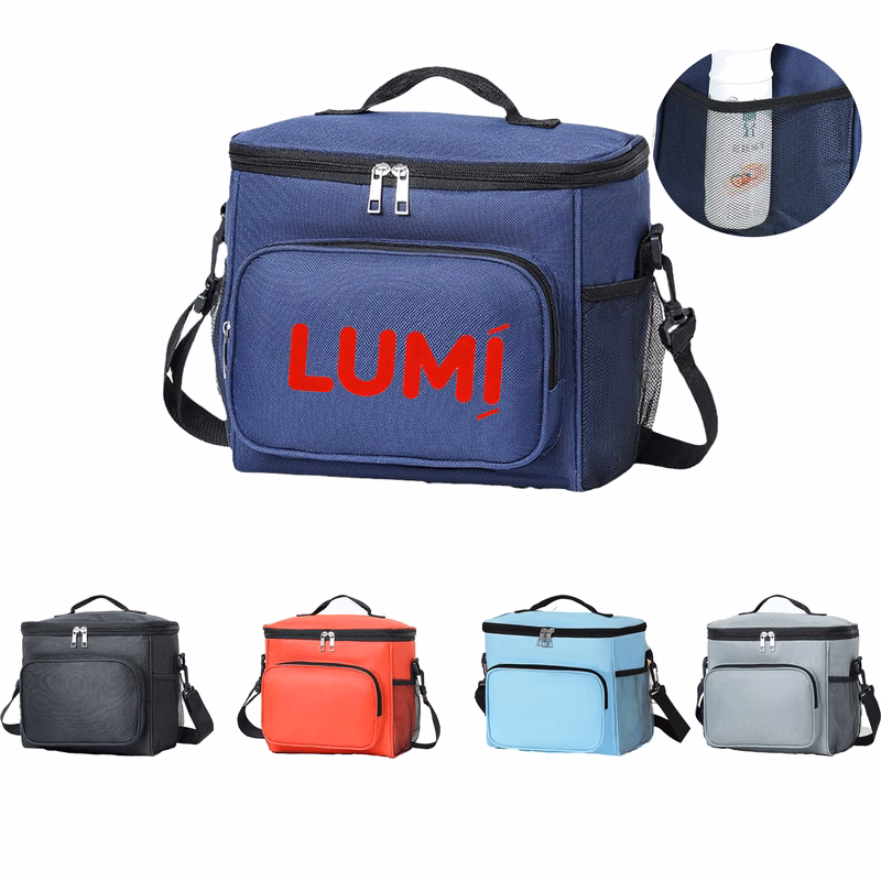 10L Insulated School Picnic Beach Lunch Bag