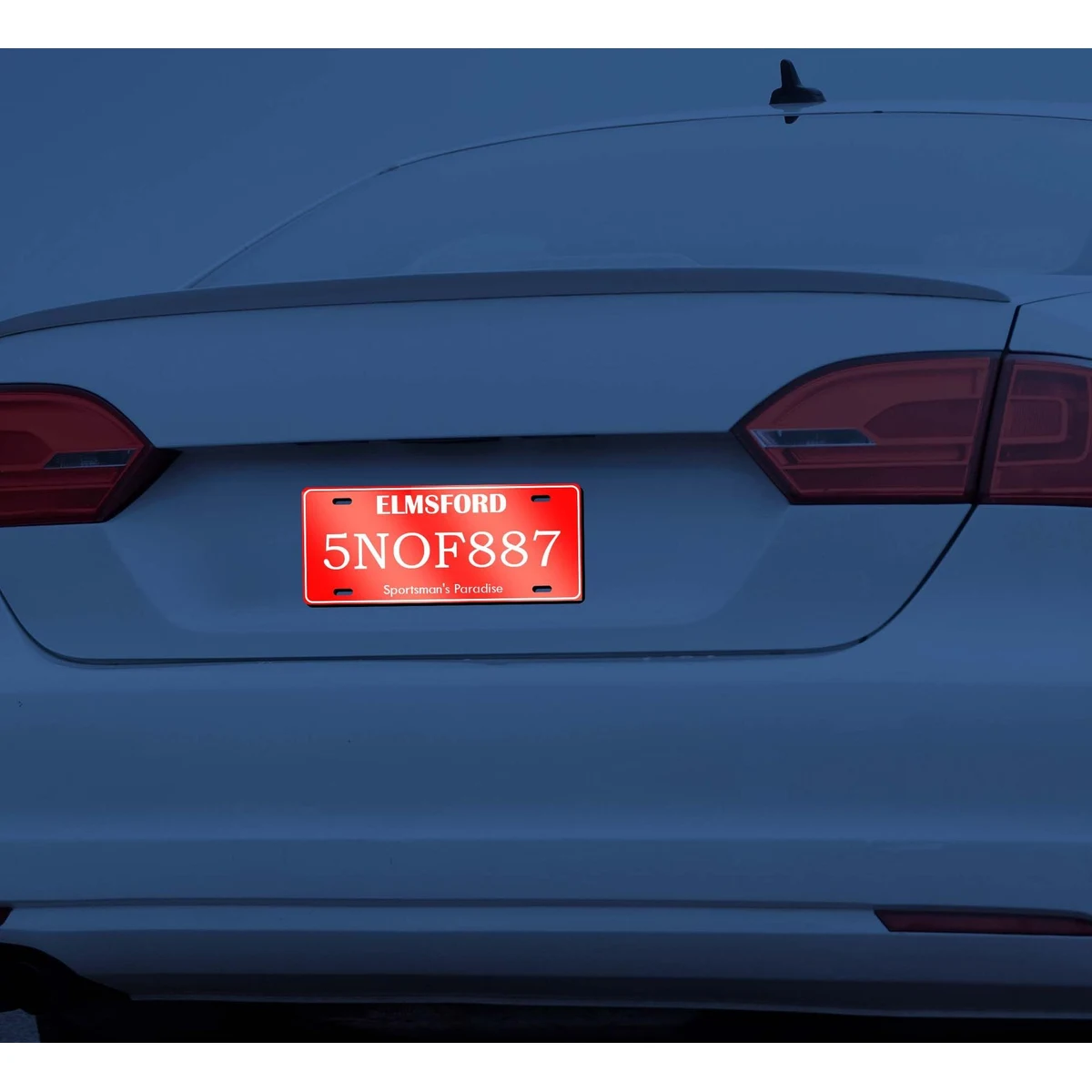 Reflective Custom License Plates 1