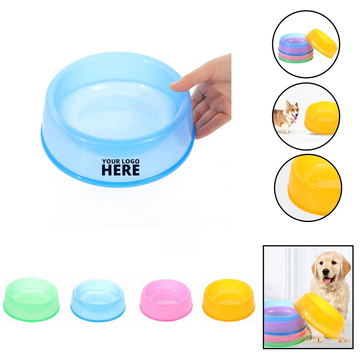 Pet Bowl 1