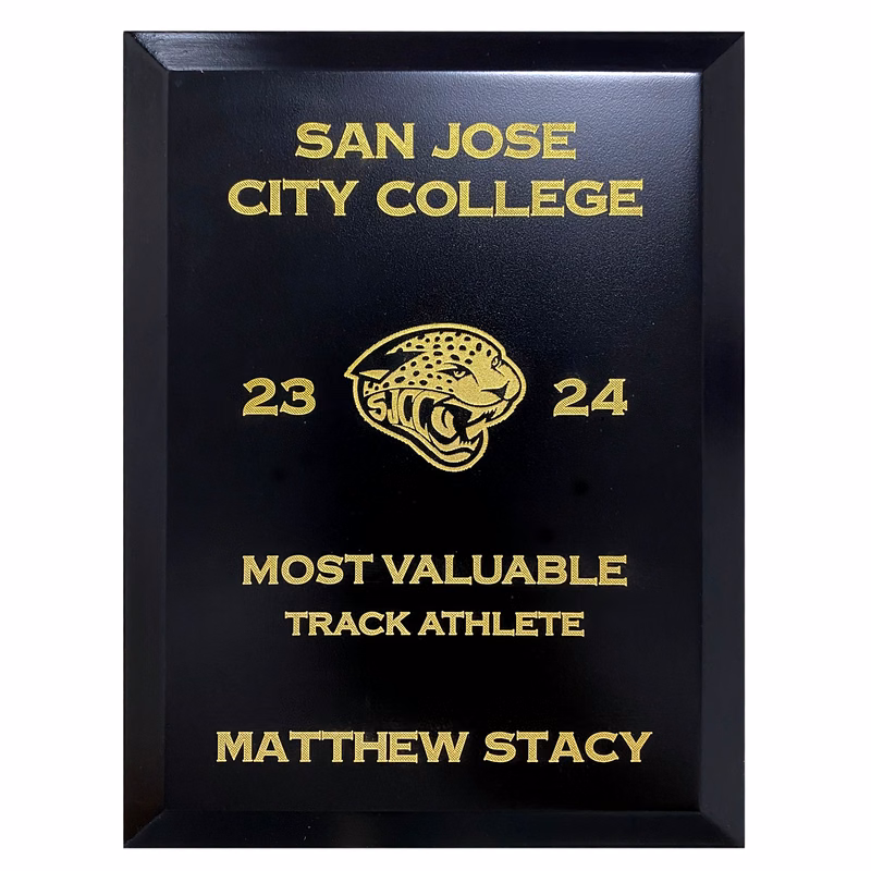 Touchstone Plaque Award - Silver Or Gold 10.5" x 13"