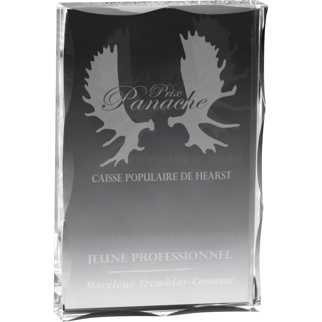 Block Award (4"x 6"x 3/4") Laser Engraved 1