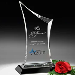 Coburn Award 1
