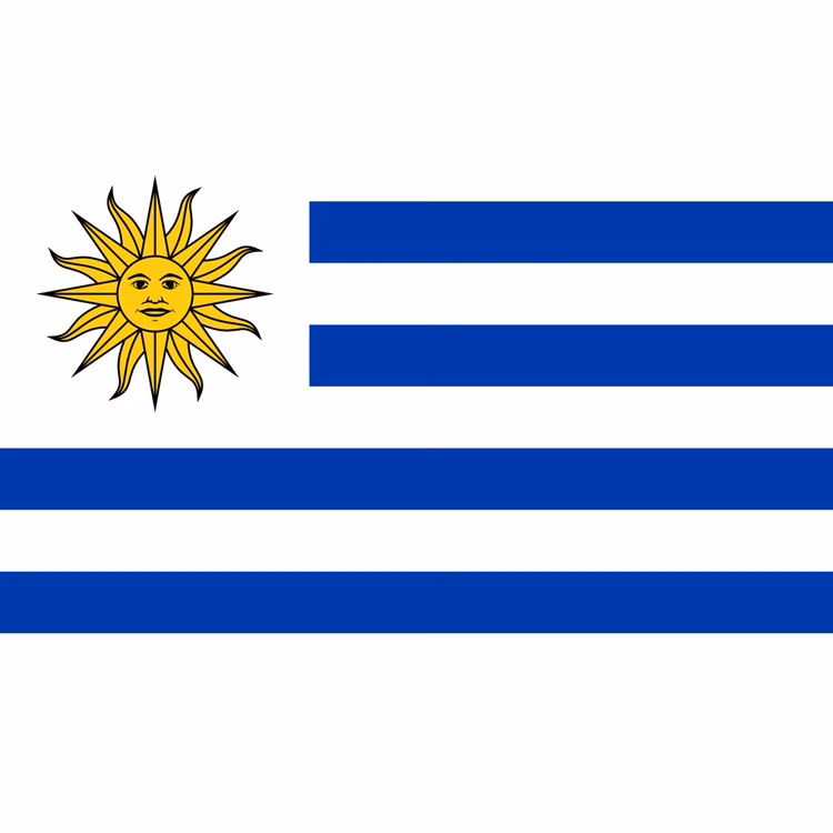 Urguay Flag - 3' x 5' - Nylon