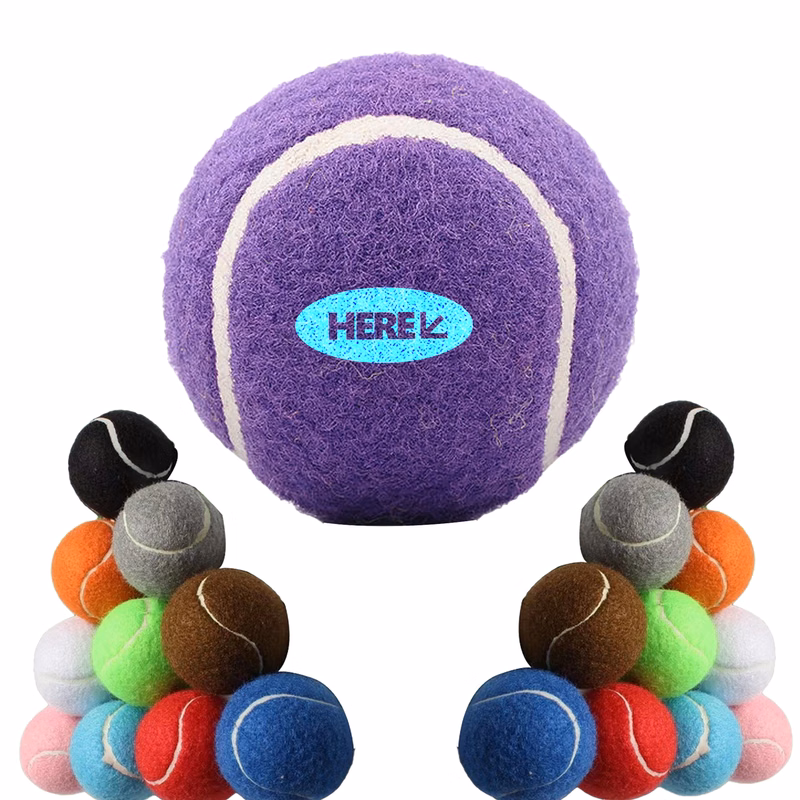 Rubber Dog Toy