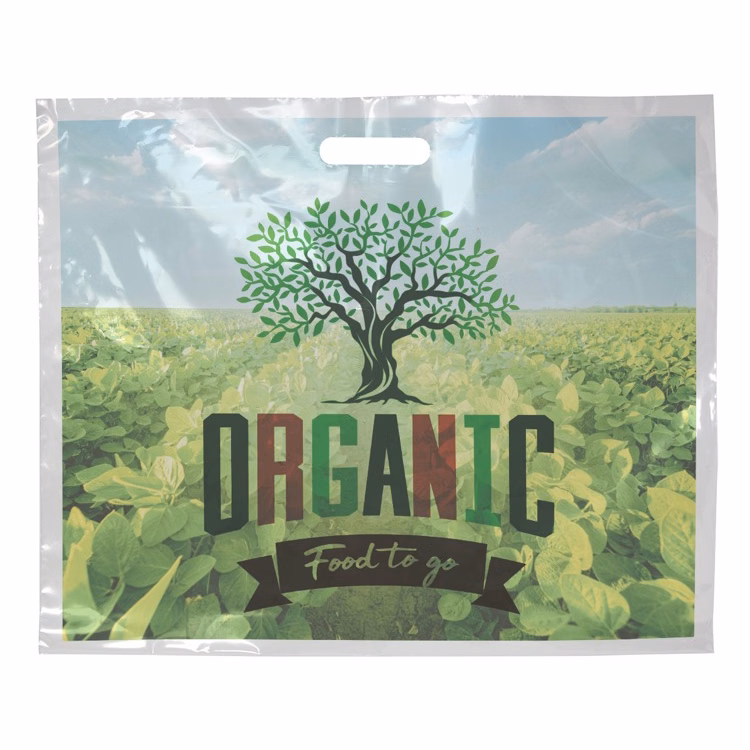 Digital Full Color 2-Sided Clear Plastic Bag (18" x 15")