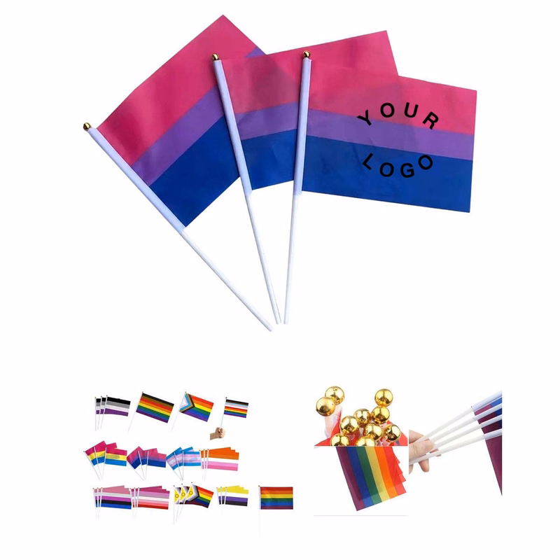 Small Progress Pride Rainbow Flag with Stick Handle