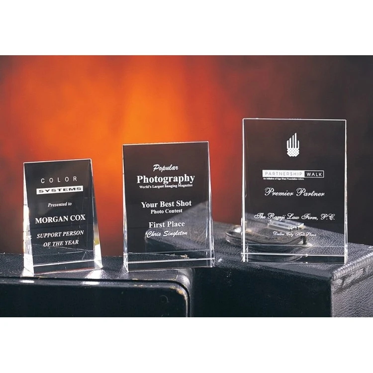 Contemporary Vistas Crystal Wedge Award 1