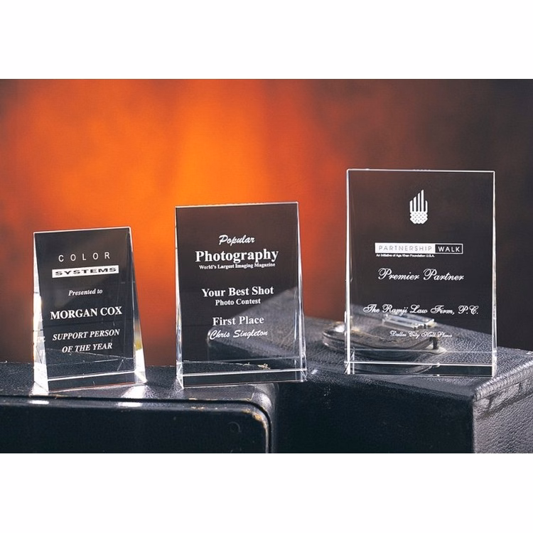 Contemporary Vistas Crystal Wedge Award