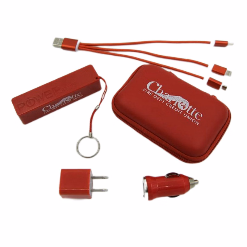 4 in 1 Charging Set