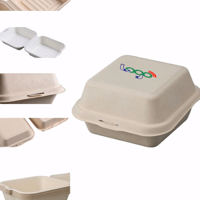 Pulp - based Degradable Bento Box
