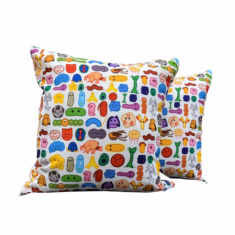 Indoor Pillow (16"x16")
