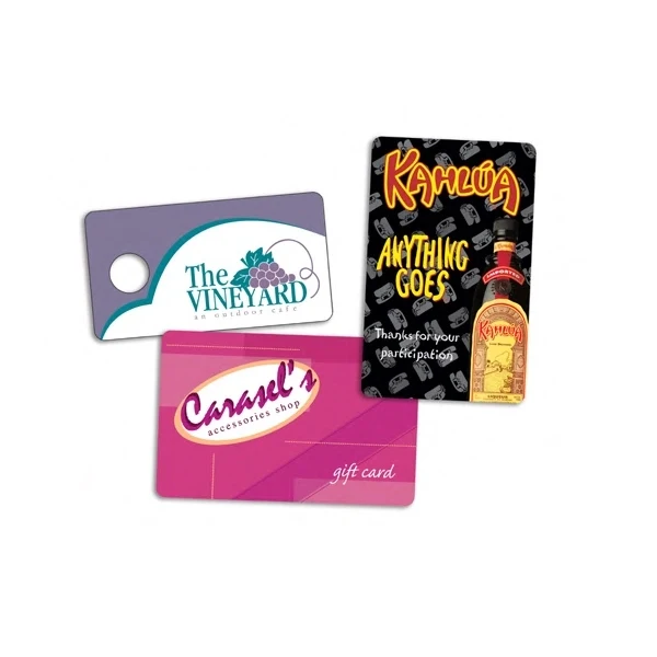 Plastic ID/identification Card 1