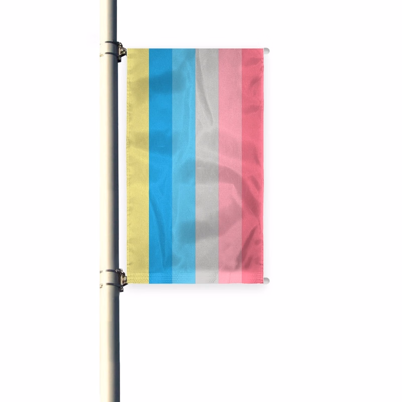 3'x8' Genderflux Pleated Light Post Banner