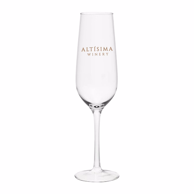 9oz. Acrylic Champagne Flute