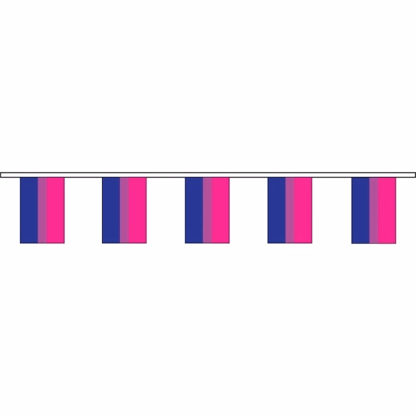 Bisexual 60' Streamer
